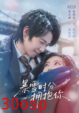 暴雪时分拥抱你