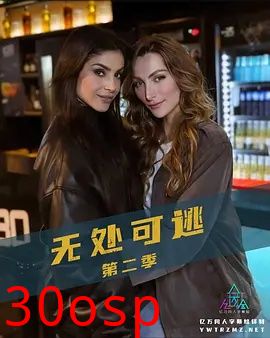 无处可逃第二季