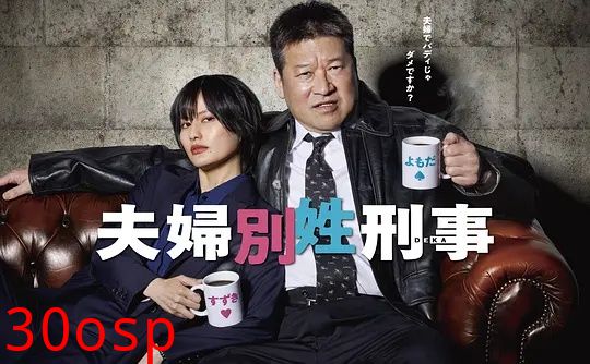 夫妇别姓刑警