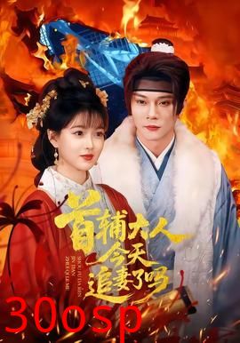 首辅大人今天追妻了吗