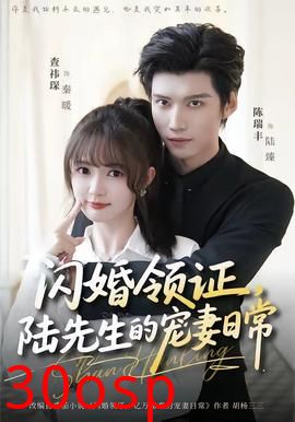 闪婚领证，陆先生的宠妻日常