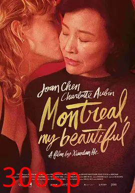 蒙特利尔，我的美人