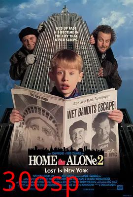 小鬼当家2 (国语版)