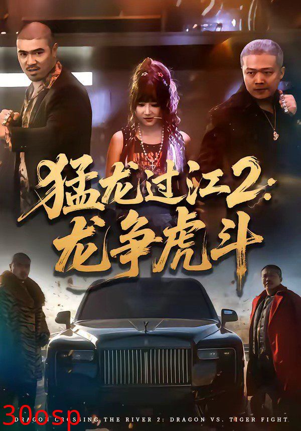 猛龙过江2：龙争虎斗