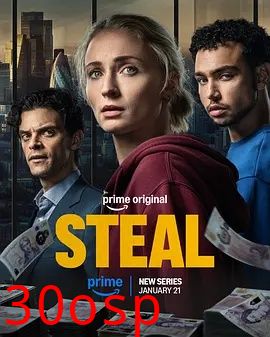强制窃贼 Steal