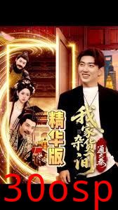 我家杂货间通大秦
