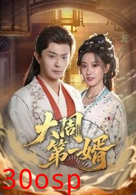 大周第一婿