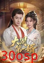 大周第一婿
