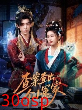 查案查出个小冤家