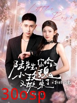 陆先生，你捡的小玫瑰又掀桌了之荆棘玫瑰（太子爷的小玫瑰又掀桌了）
