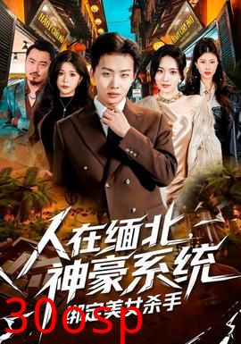 人在缅北，神豪系统绑定美女杀