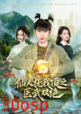 仙人抚我顶之医武双绝