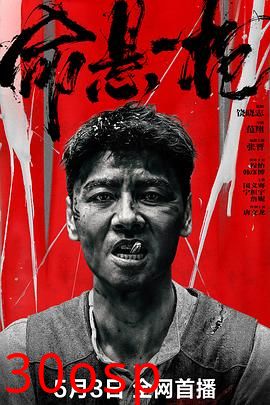 命悬一枪四川话