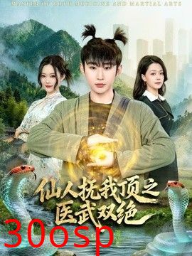 仙人抚我顶之医武双绝