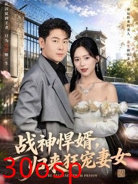 战神悍婿，归来狂宠妻女
