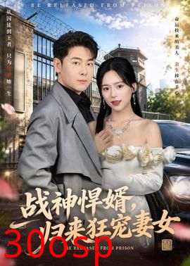 战神悍婿，归来狂宠妻女