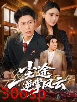 尘途逆掌风云