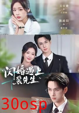闪婚遇上裴先生