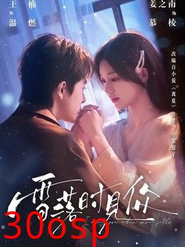 雪落时见你