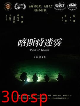 喀斯特迷雾