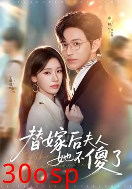 替嫁后夫人她不傻了