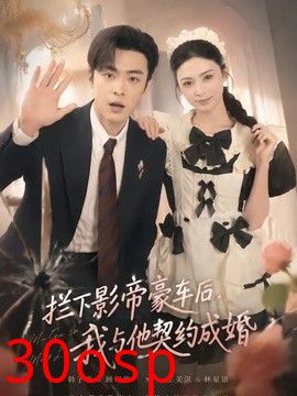 拦下影帝豪车后，我与他契约成婚