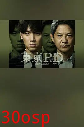 东京P.D警视厅宣传2系 第二季
