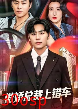 傲娇总裁上错车