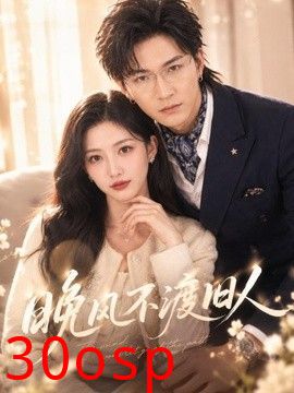 晚风不渡旧人
