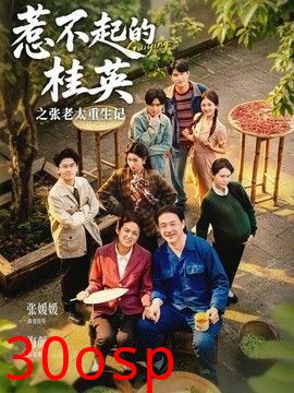 惹不起的桂英之张老太重生记
