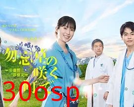 在勿忘草盛开的城镇～安昙野诊疗记～