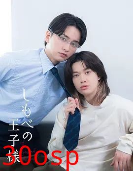仆人的王子殿下
