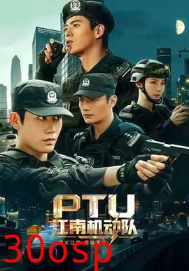 江南机动队