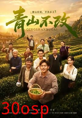 青山不改