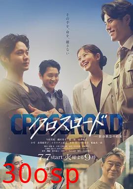 Crossroad～救命救急的约定