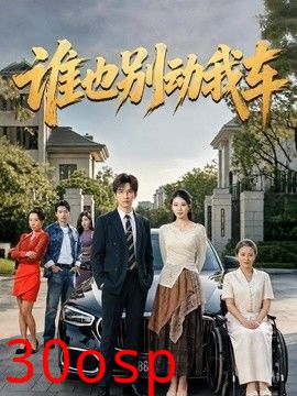谁也别动我车