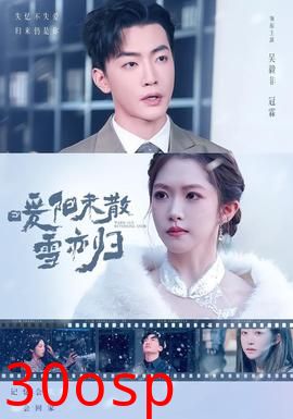 暖阳未散雪亦归