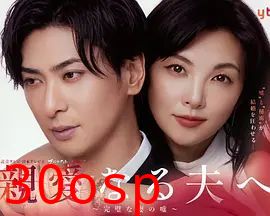 致亲爱的丈夫 完美妻子的谎言