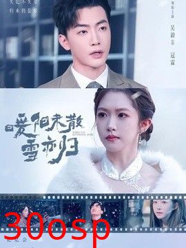 暖阳未散雪亦归
