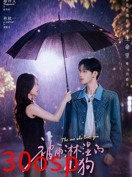 被雨淋湿的小狗
