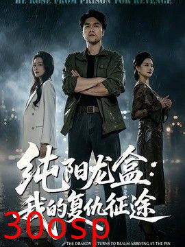 纯阳龙盒：我的复仇征途