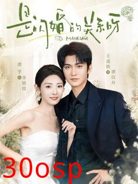 是闪婚的关系呀