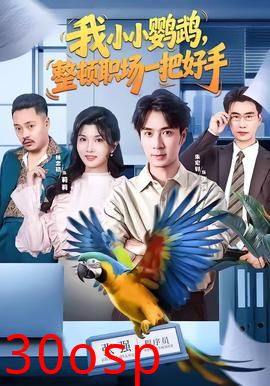 我小小鹦鹉，整顿职场一把好手