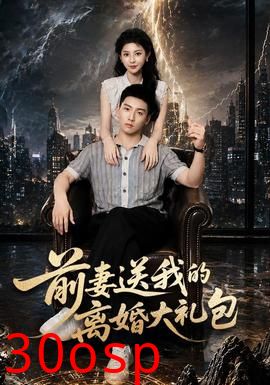 前妻送我的离婚大礼包