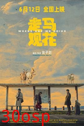 走马观花