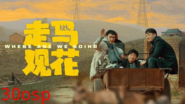 走马观花