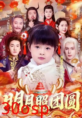明月照团圆