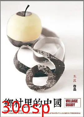 乡村里的中国