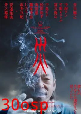 灾电影版