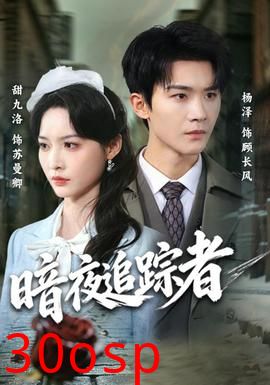 暗夜追踪者